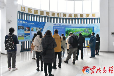 【新春走基层·禄丰】“保姆式”服务助力企业发展